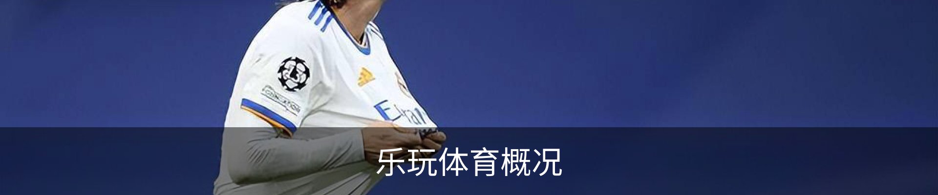 乐玩体育概况